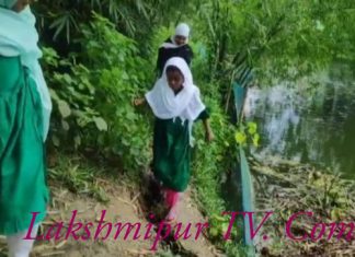 লক্ষ্মীপুরে চন্দ্রগঞ্জ থানাধীন পূর্ব জামিরতলী প্রাইমারী স্কুলের প্রধান রাস্তাটি প্রায় বিলুপ্ত!