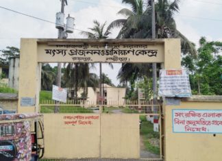 লক্ষ্মীপুরে এশিয়ার সর্ববৃহৎ মৎস্য প্রজনন কেন্দ্র : অথচ ৮৩ পদের মধ্যে ৫৮ পদই শূন্য!