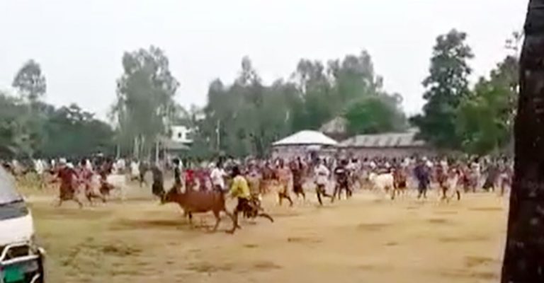 হঠাৎ হাটে হাজির ইউএনও, গরু-ছাগল রেখে পালালেন বিক্রেতারা